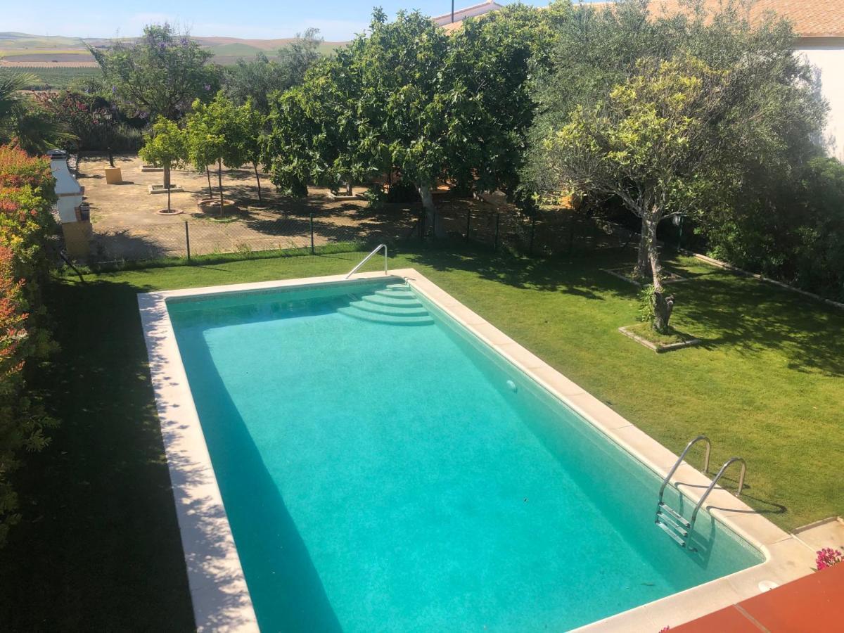 Vivienda Rural Olivar De San Telmo Arcos de la Frontera Ngoại thất bức ảnh