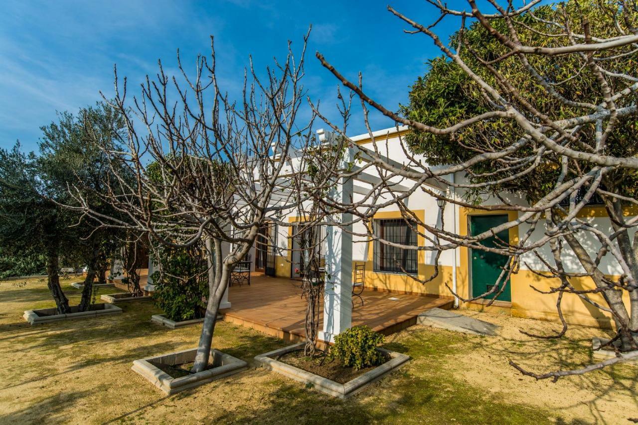 Vivienda Rural Olivar De San Telmo Arcos de la Frontera Ngoại thất bức ảnh
