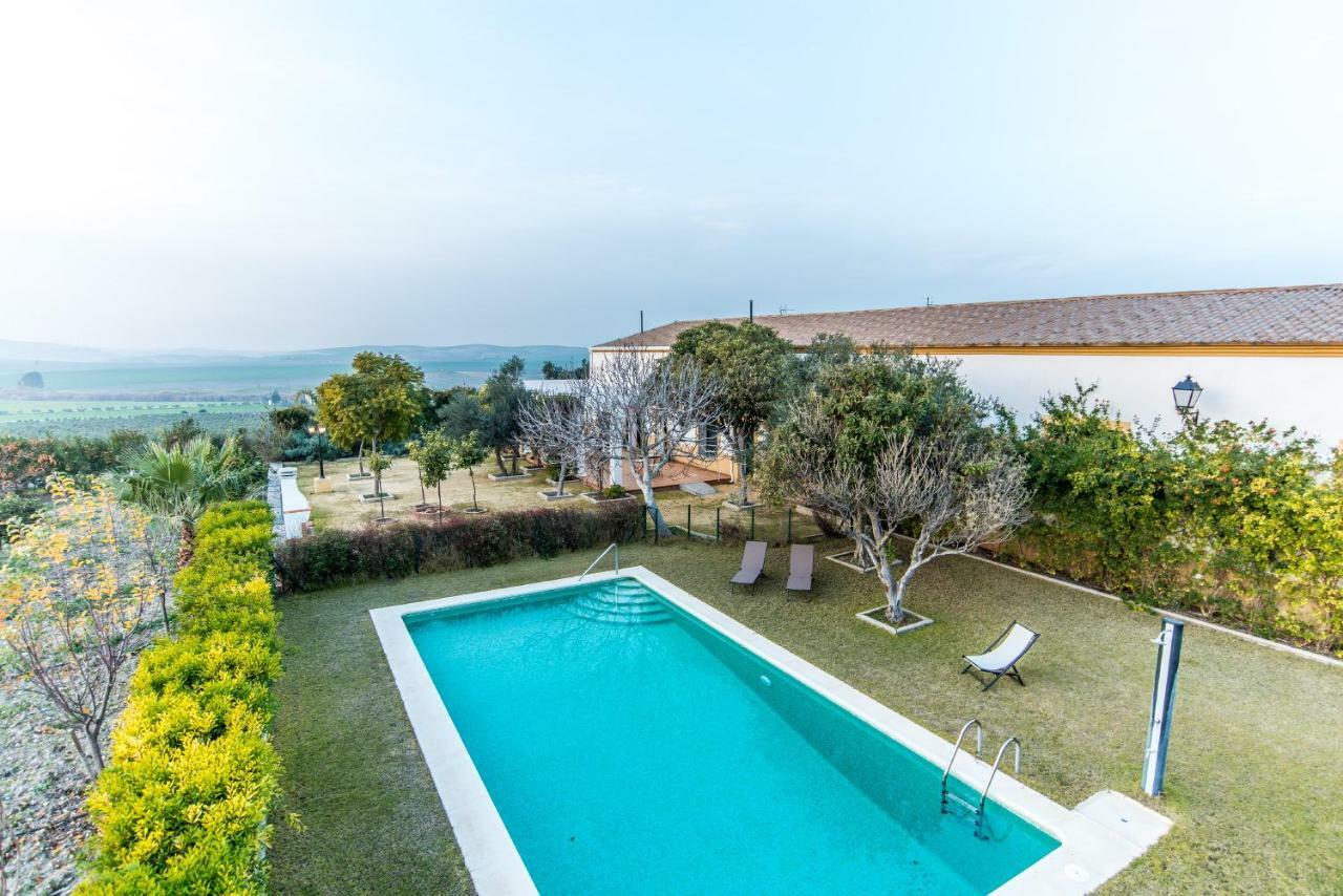 Vivienda Rural Olivar De San Telmo Arcos de la Frontera Ngoại thất bức ảnh