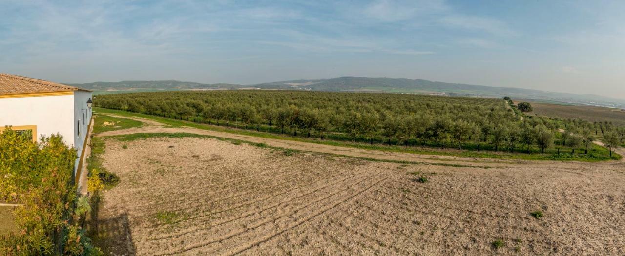 Vivienda Rural Olivar De San Telmo Arcos de la Frontera Ngoại thất bức ảnh