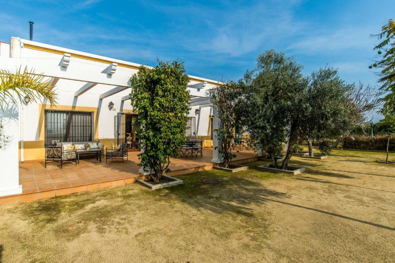 Vivienda Rural Olivar De San Telmo Arcos de la Frontera Ngoại thất bức ảnh