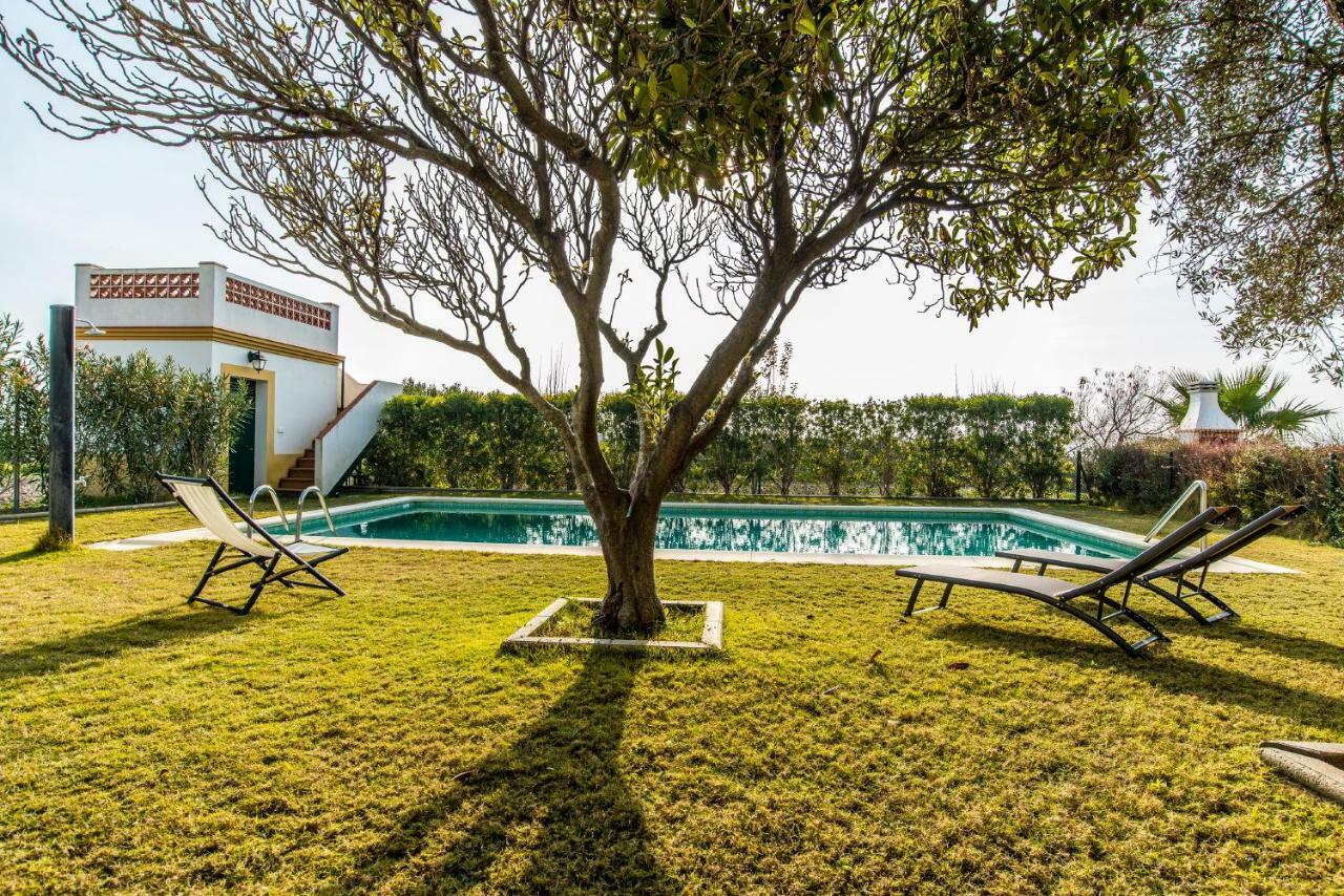 Vivienda Rural Olivar De San Telmo Arcos de la Frontera Ngoại thất bức ảnh