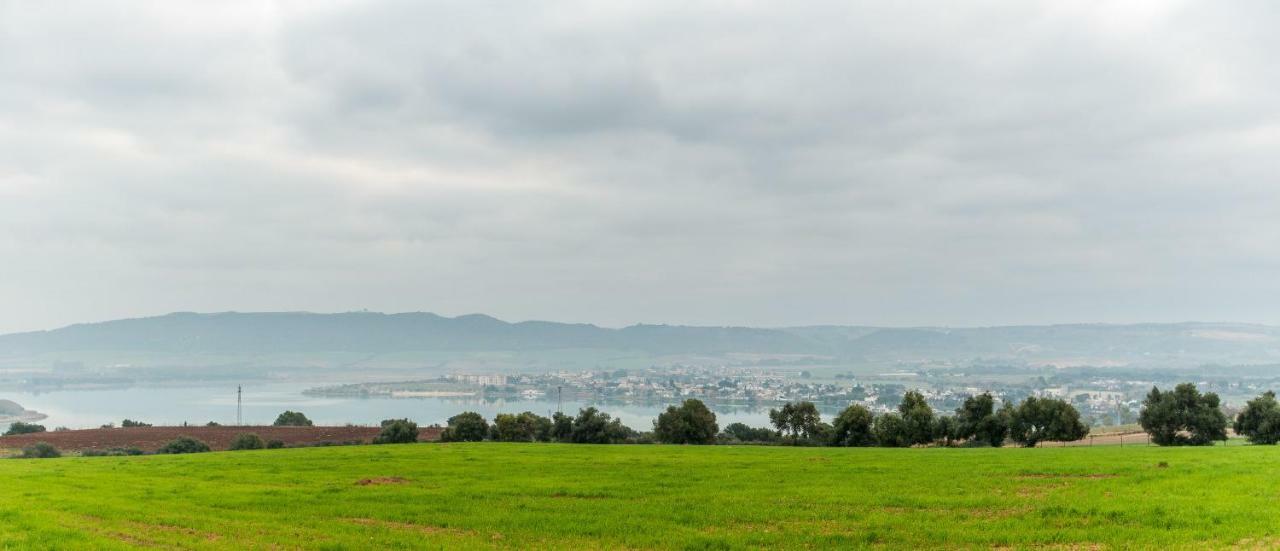 Vivienda Rural Olivar De San Telmo Arcos de la Frontera Ngoại thất bức ảnh