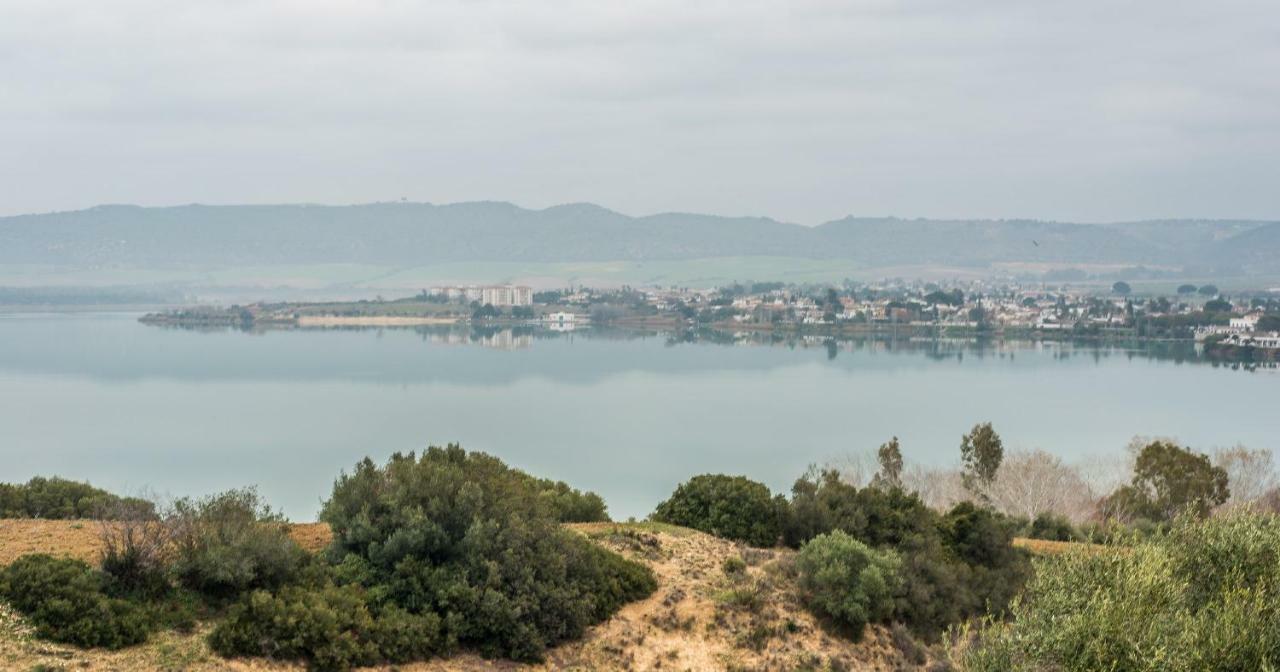 Vivienda Rural Olivar De San Telmo Arcos de la Frontera Ngoại thất bức ảnh