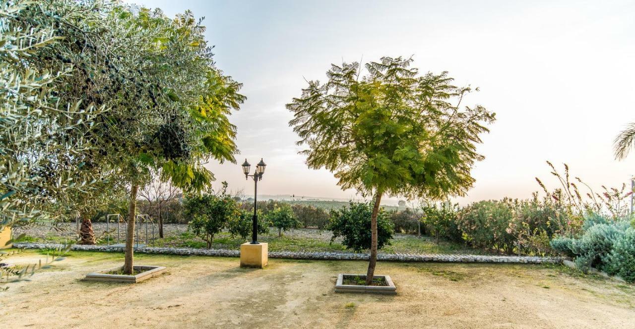 Vivienda Rural Olivar De San Telmo Arcos de la Frontera Ngoại thất bức ảnh